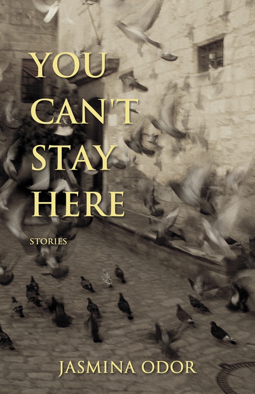 Couverture ebook de You Can't Stay Here, de Jasmina Odor