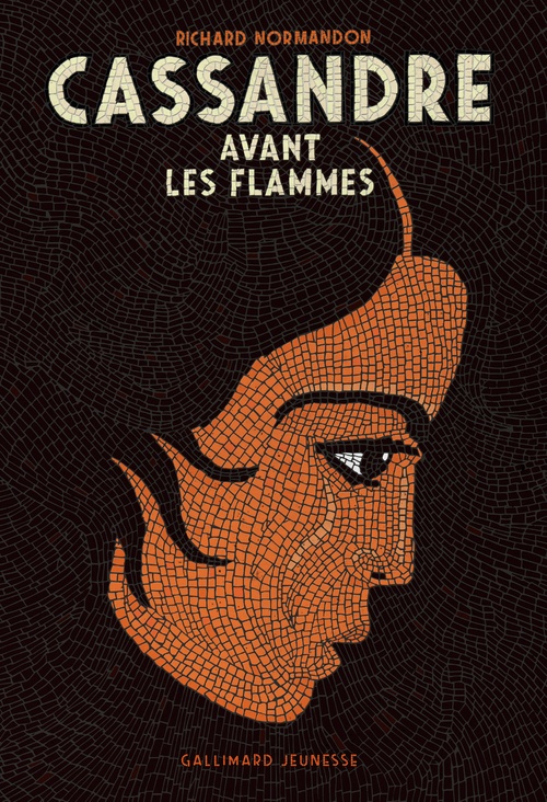 Couverture ebook de Cassandre avant les flammes, de Richard Normandon
