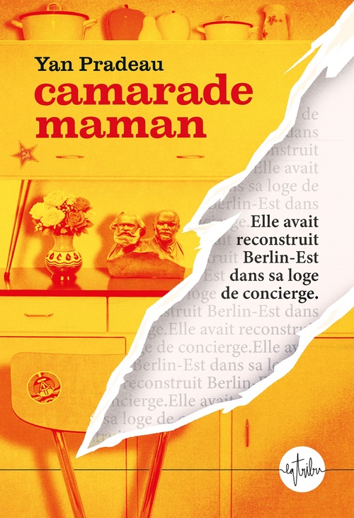 ebook cover of Camarade maman : rentrée littéraire 2026, by Yan Pradeau