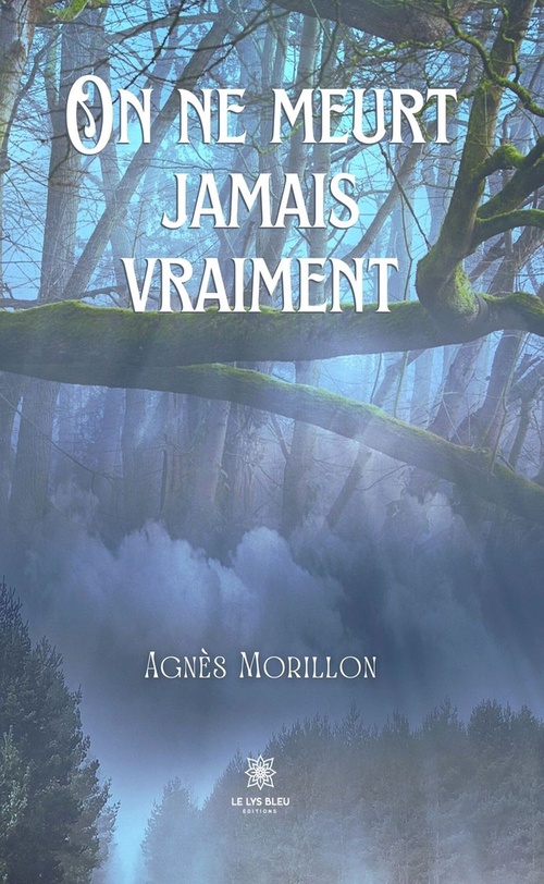 Couverture ebook de On ne meurt jamais vraiment, de Agnès Morillon