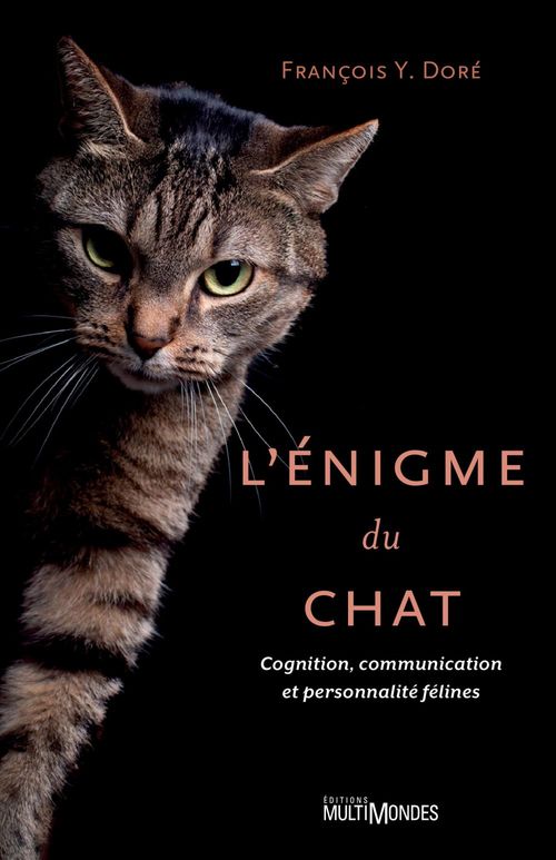 Couverture ebook de L'énigme du chat, de François Y. Doré