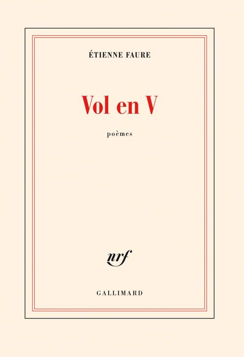 Couverture ebook de Vol en V, de Etienne Faure