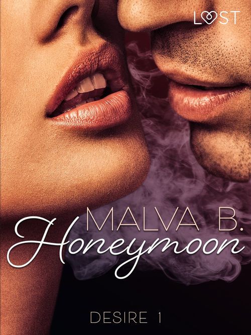 ebook cover of Desire 1: Honeymoon, by Malva B