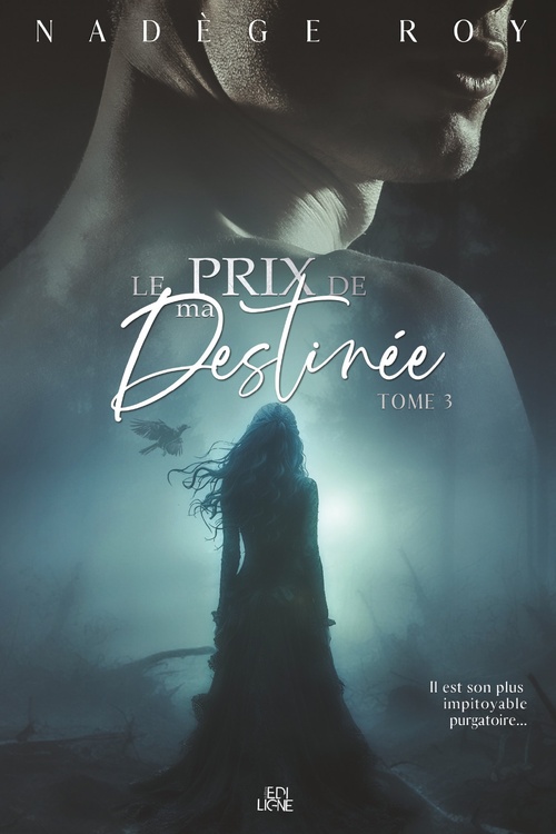 Couverture ebook de Le prix de ma Destinée, de Nadege Roy