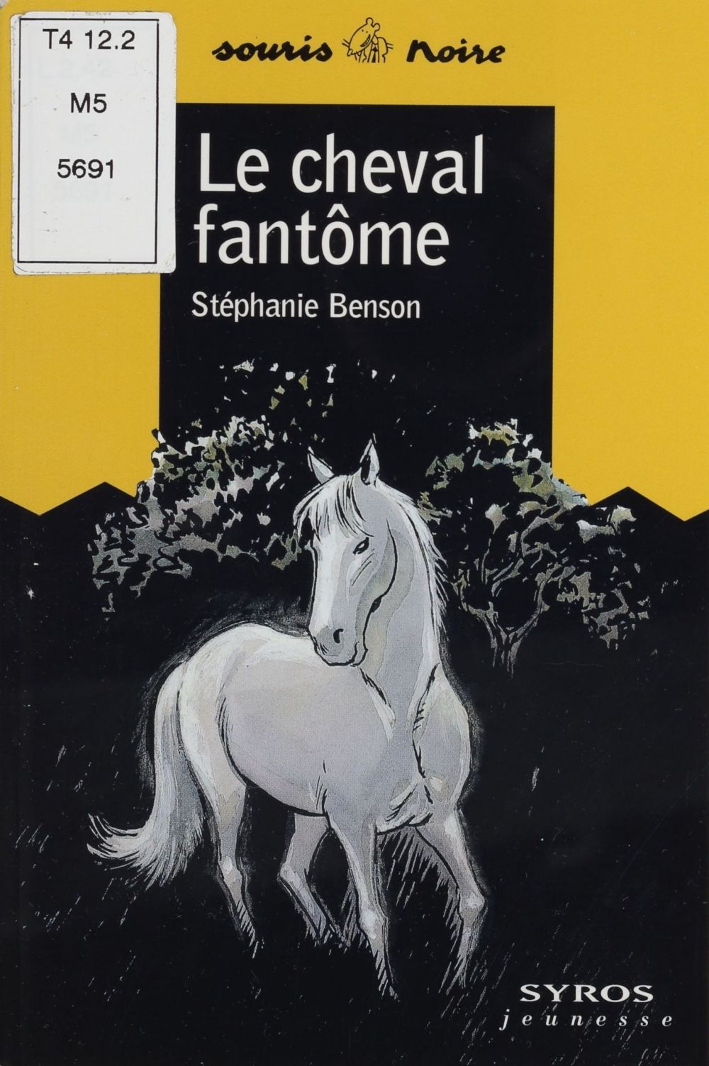 Couverture ebook de Le Cheval fantôme, de Stéphanie Benson