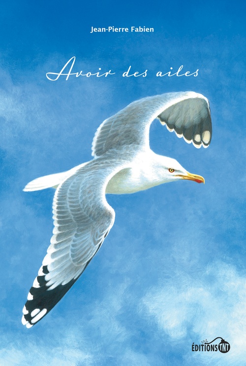 ebook cover of Avoir des ailes, by Jean-Pierre Fabien
