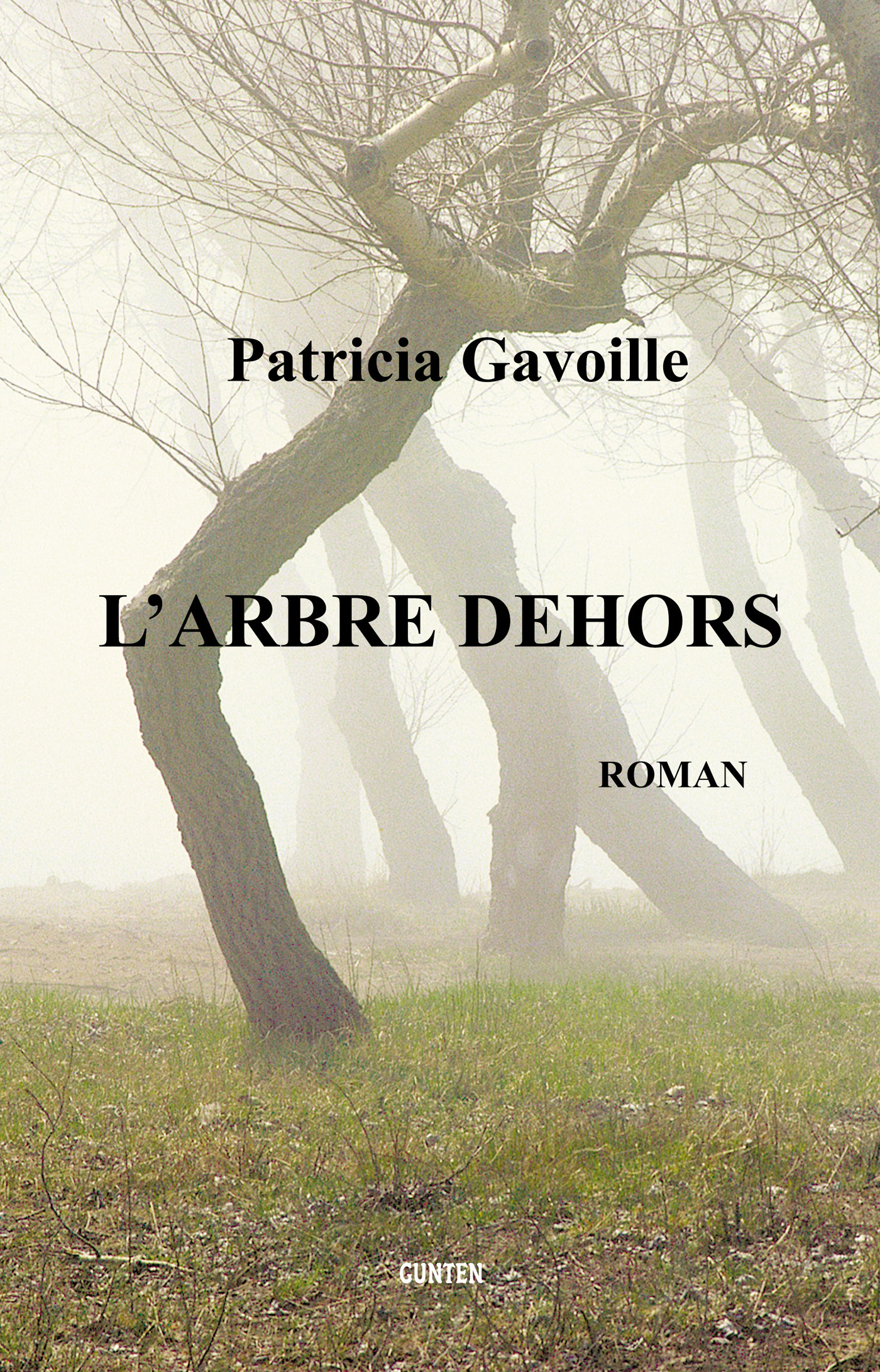 Couverture ebook de L'arbre dehors, de Patricia Gavoille