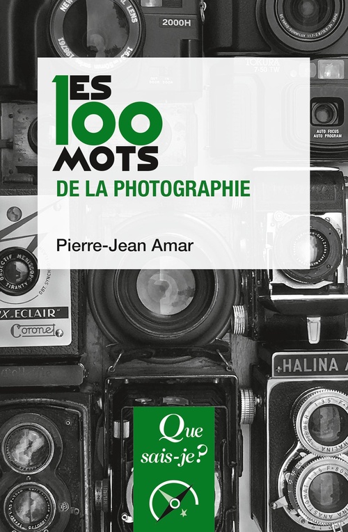 Couverture ebook de Les 100 mots de la photographie, de Pierre-Jean Amar