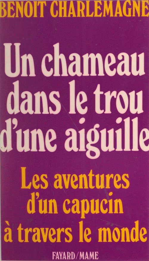 Couverture ebook de Un chameau dans le trou d'une aiguille, de Benoit Charlemagne