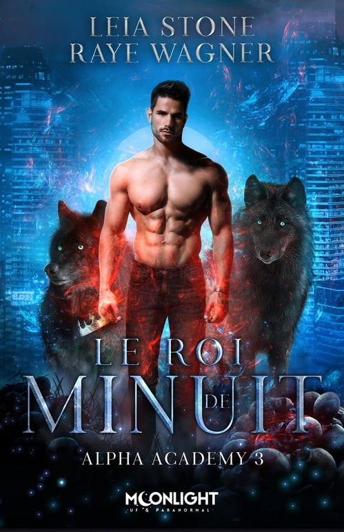ebook cover of Le roi de minuit, by Raye Wagner, Leia Stone