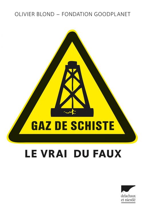 ebook cover of Gaz de schiste, by Olivier Blond