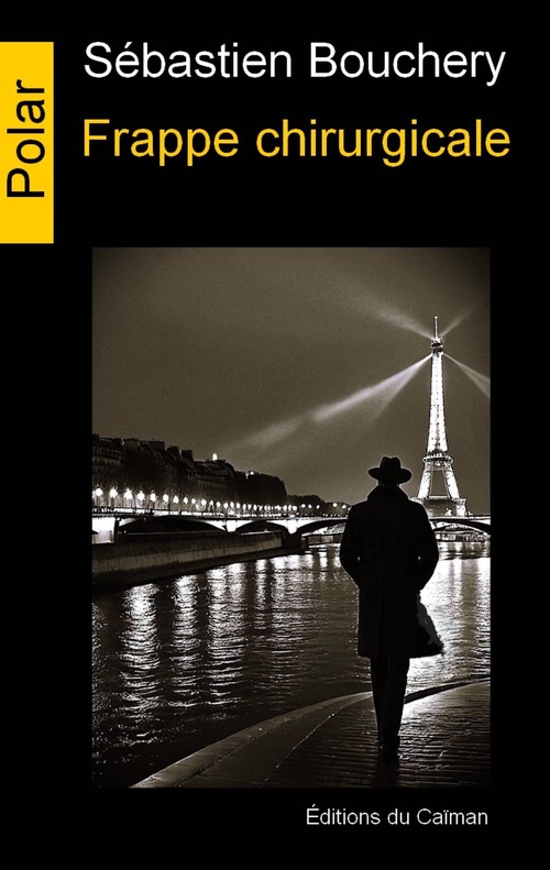 ebook cover of Frappe chirurgicale, by Sebastien Bouchery