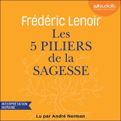 Couverture audiobook de Les 5 Piliers de la sagesse : petit manuel de résistance intérieure, de Frédéric Lenoir