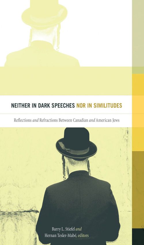 ebook cover of Neither in Dark Speeches nor in Similitudes, by Barry L. Stiefel, Hernan Tesler-Mabe