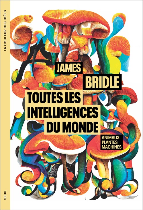 Couverture ebook de Toutes les intelligences du monde, de James Bridle, Cyril Leroy
