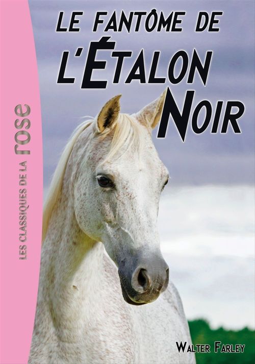 ebook cover of L'Etalon Noir 16 - Le fantôme de l'Etalon Noir, by Steven Farley, Walter Farley