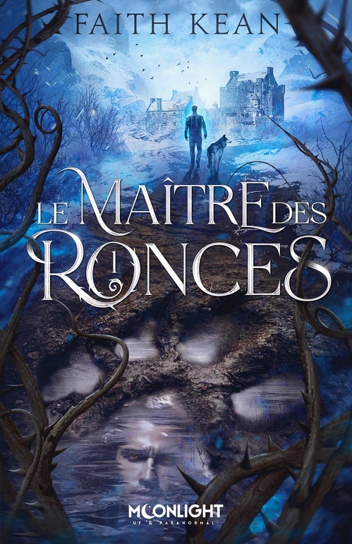 ebook cover of Le Maître des Ronces, by Faith Kean