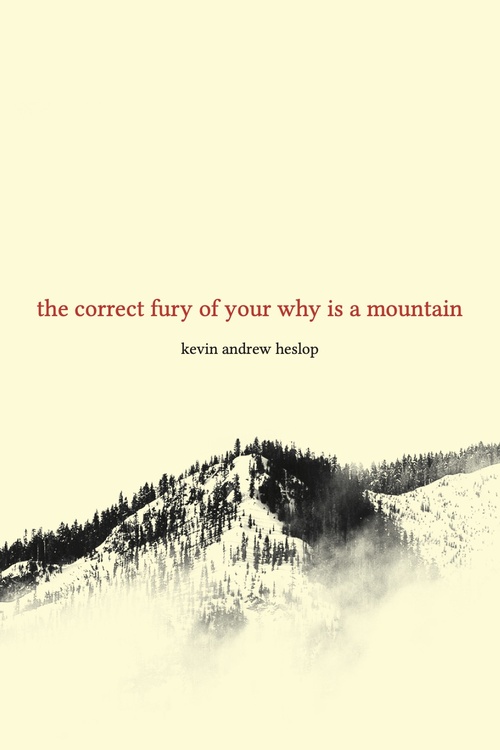 ebook cover of The correct fury of your why is a mountain, by Kevin Heslop