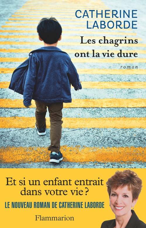 ebook cover of Les chagrins ont la vie dure, by Catherine Laborde