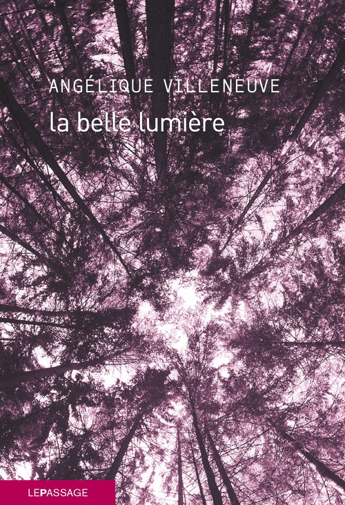 ebook cover of La belle lumière, by Angélique Villeneuve