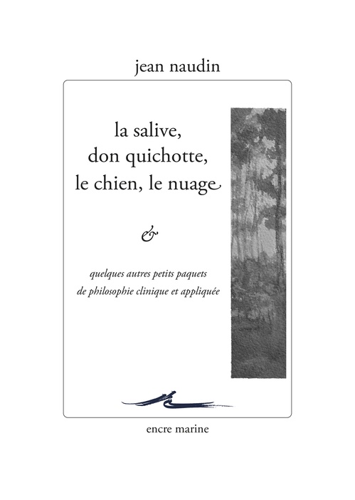 ebook cover of La salive, Don Quichotte, le chien, le nuage... et quelques autres petits paquets de philosophie clinique et appliquée, by Jean Naudin