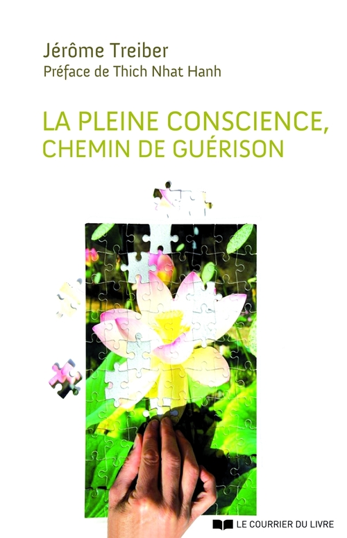 ebook cover of La Pleine Conscience : Chemin de guérison, by Jérôme Treiber
