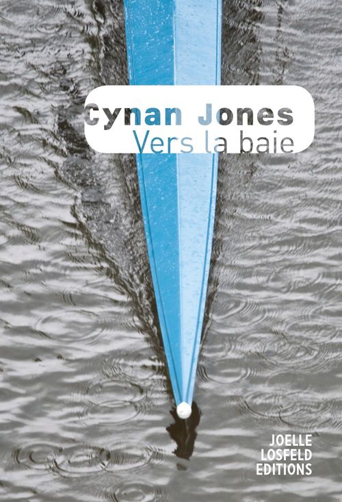ebook cover of Vers la baie, by Cynan Jones