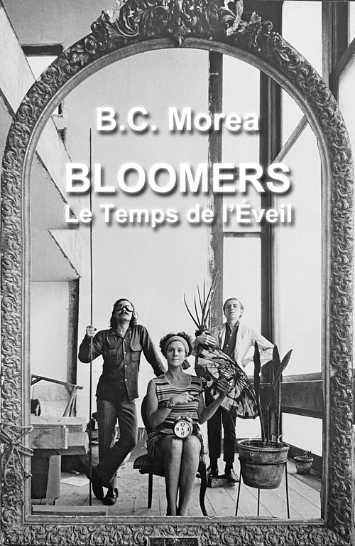 ebook cover of Bloomers, by B. C. MOREA