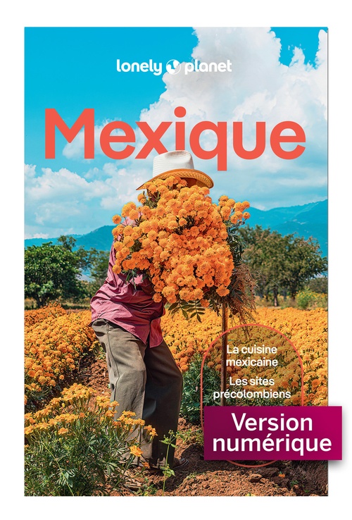 ebook cover of Mexique 15ed, by Collectif Lonely Planet