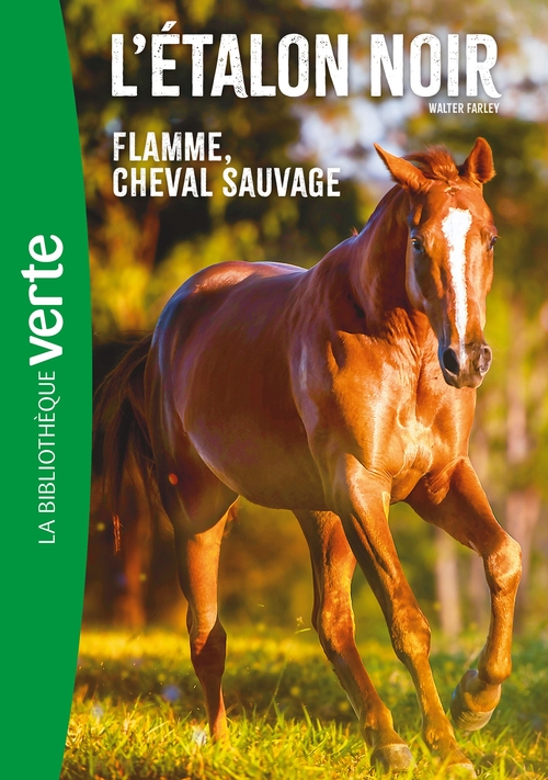 ebook cover of L'Etalon Noir NED 10 -  Flamme cheval sauvage, by Walter Farley