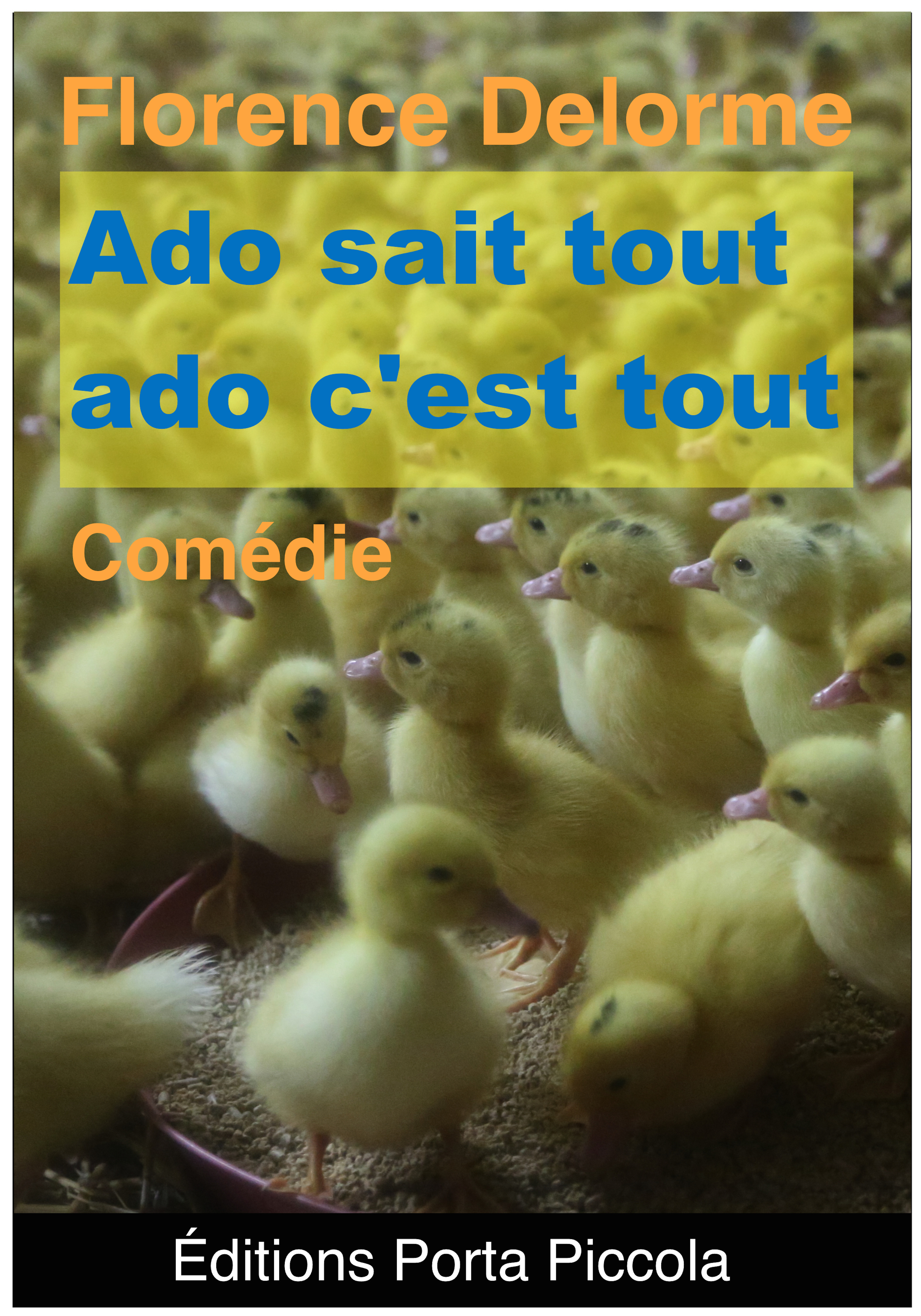 Couverture ebook de Ado sait tout, Ado, c'est tout., de Florence Delorme
