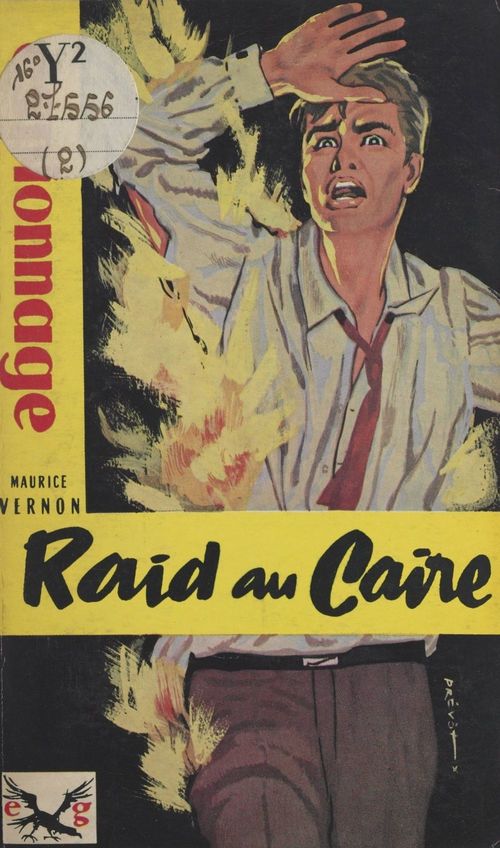 ebook cover of Raid au Caire, by Maurice Vernon