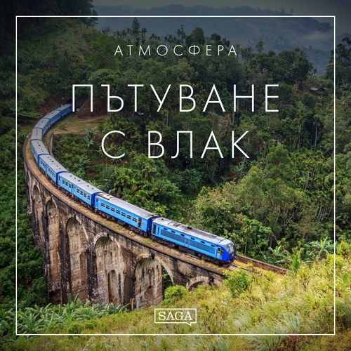 audiobook cover of -, by Rasmus Broe