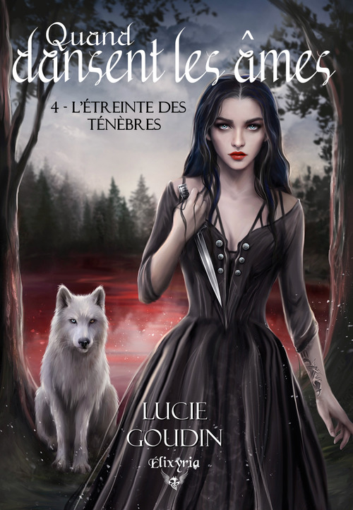 ebook cover of Quand dansent les âmes - 4 - L'étreinte des ténèbres, by Lucie Goudin