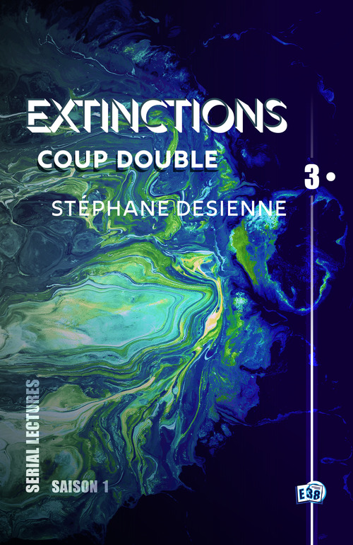 ebook cover of Coup double, by Stéphane Desienne