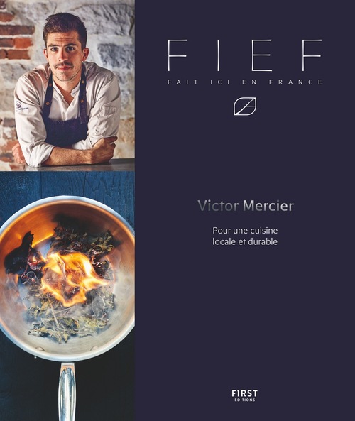 ebook cover of Fief, by Alice Descamps, David Japy, Victor Mercier