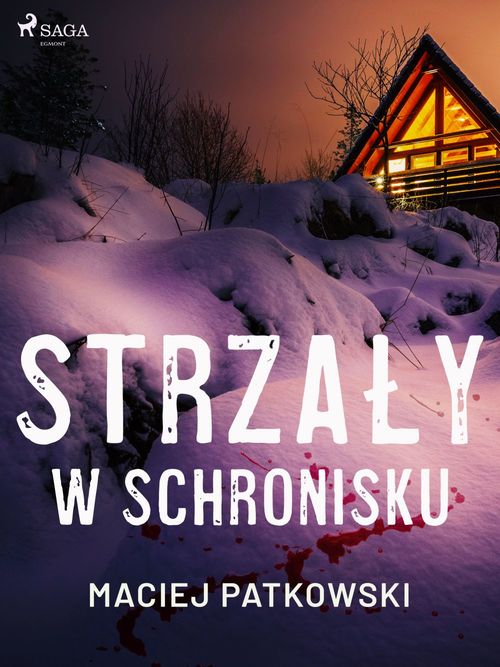 ebook cover of Strzaly w schronisku, by Maciej Patkowski