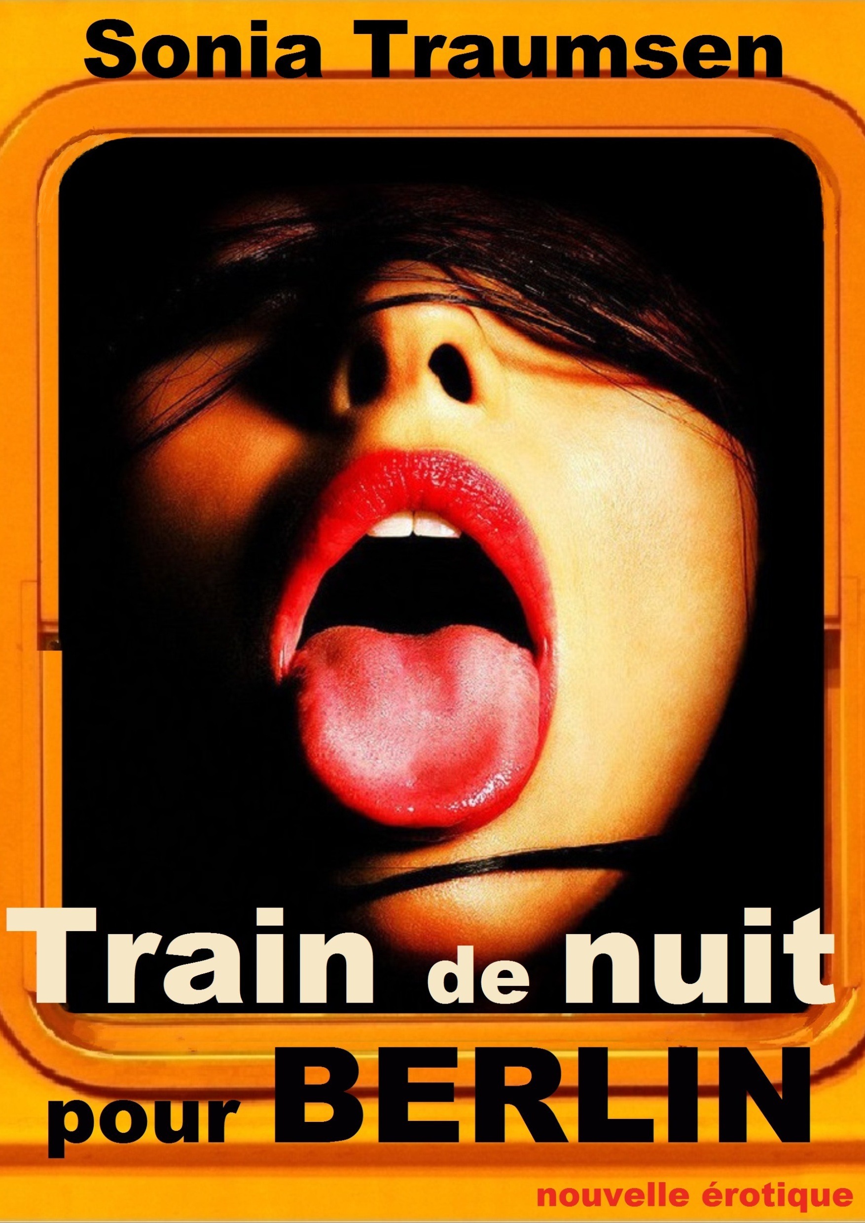 Couverture ebook de Train de nuit pour Berlin, de Sonia Traumsen