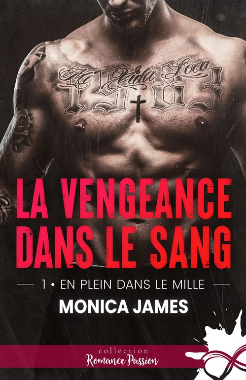ebook cover of En plein dans le mille, by Monica James