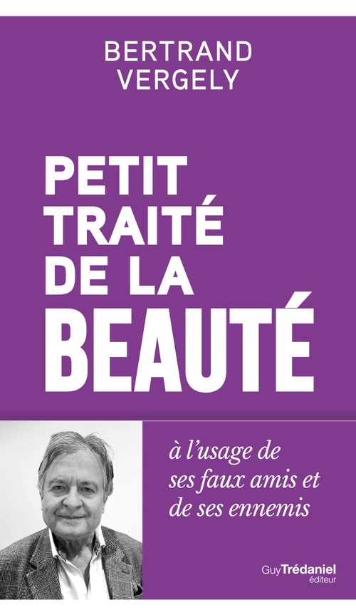 Couverture ebook de Petit Traité de la Beauté - À l'usage de ses faux amis et de ses ennemis, de Bertrand Vergely