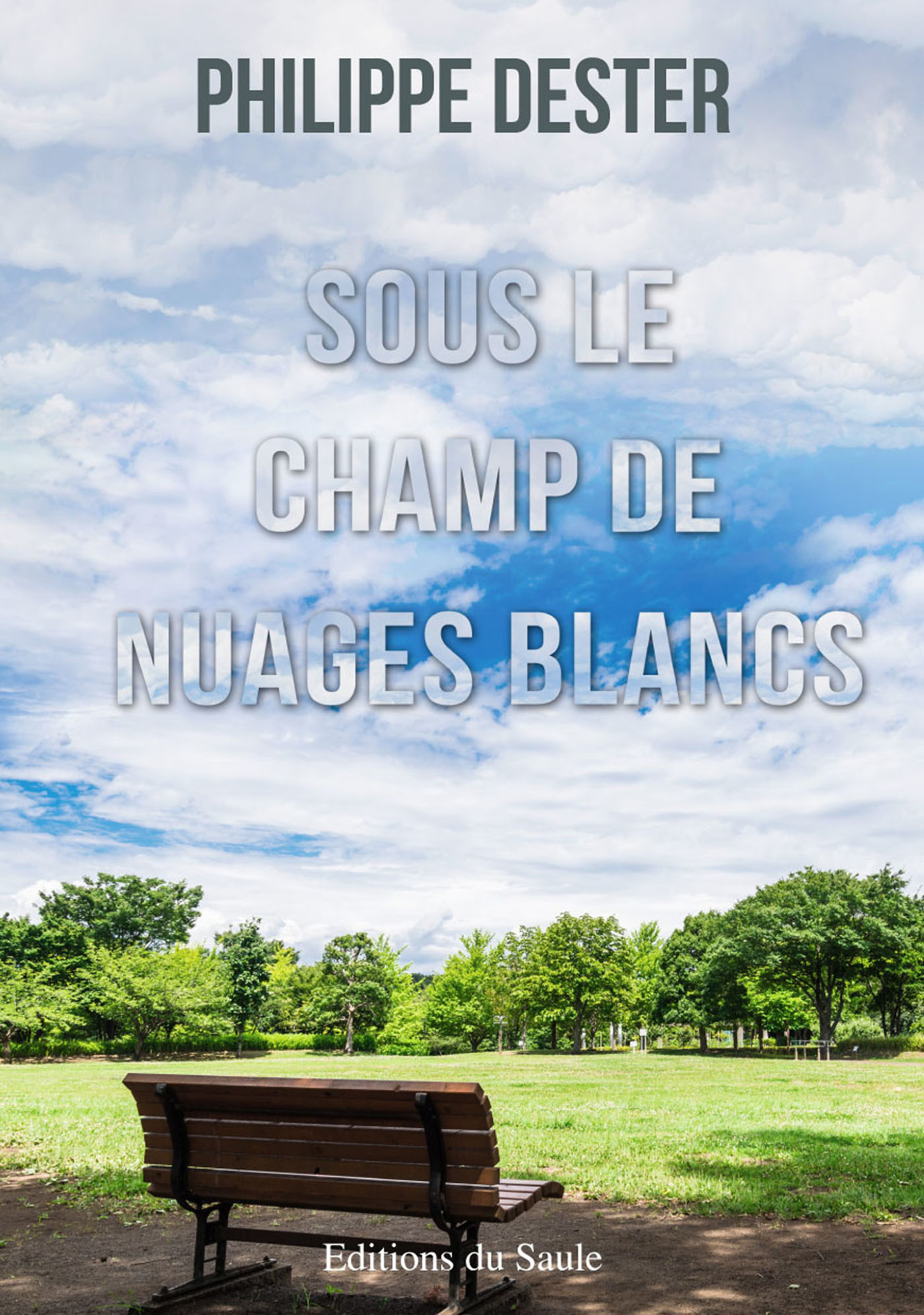 ebook cover of Sous le champ de nuages blancs, by Philippe Dester