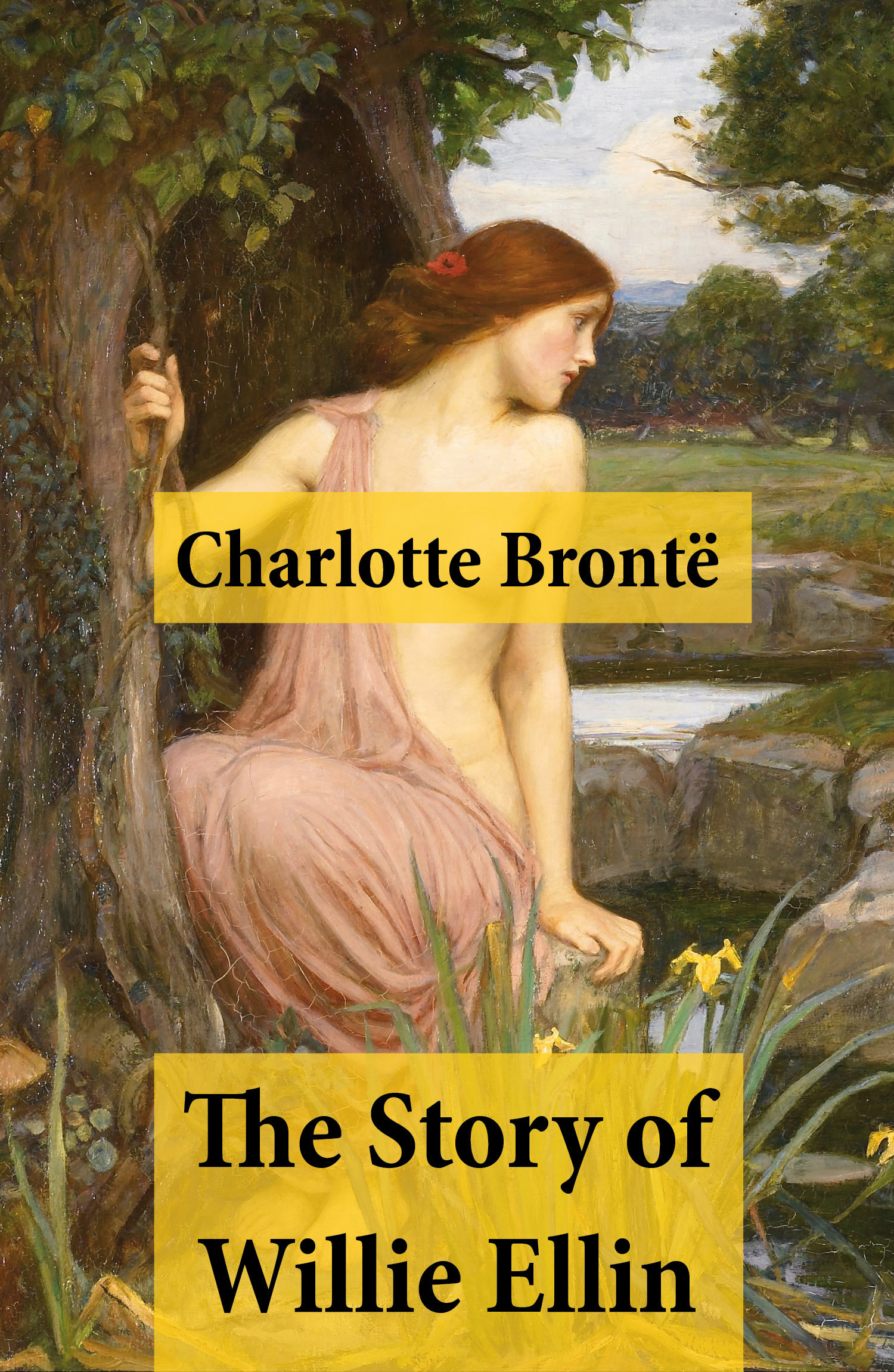 ebook cover of The Story of Willie Ellin, by Charlotte Brontë
