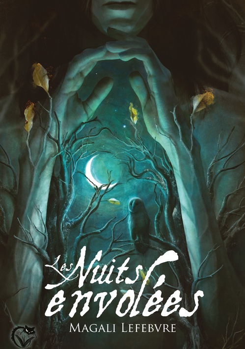 ebook cover of Les nuits envolées, by Magali Lefebvre