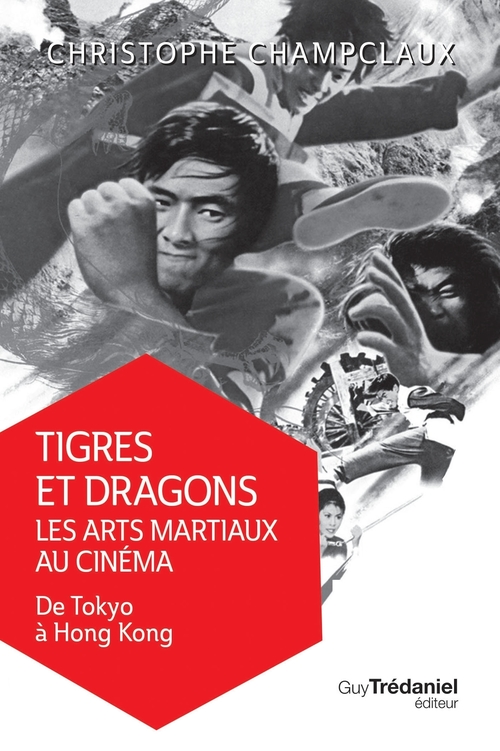 ebook cover of Tigres et dragons les arts martiaux au cinéma - De Tokyo à Hong Kong, by Christophe Champclaux