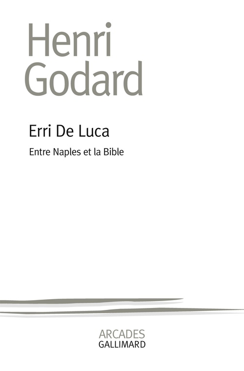 Couverture ebook de Erri de Luca. Entre Naples et la Bible, de Henri Godard