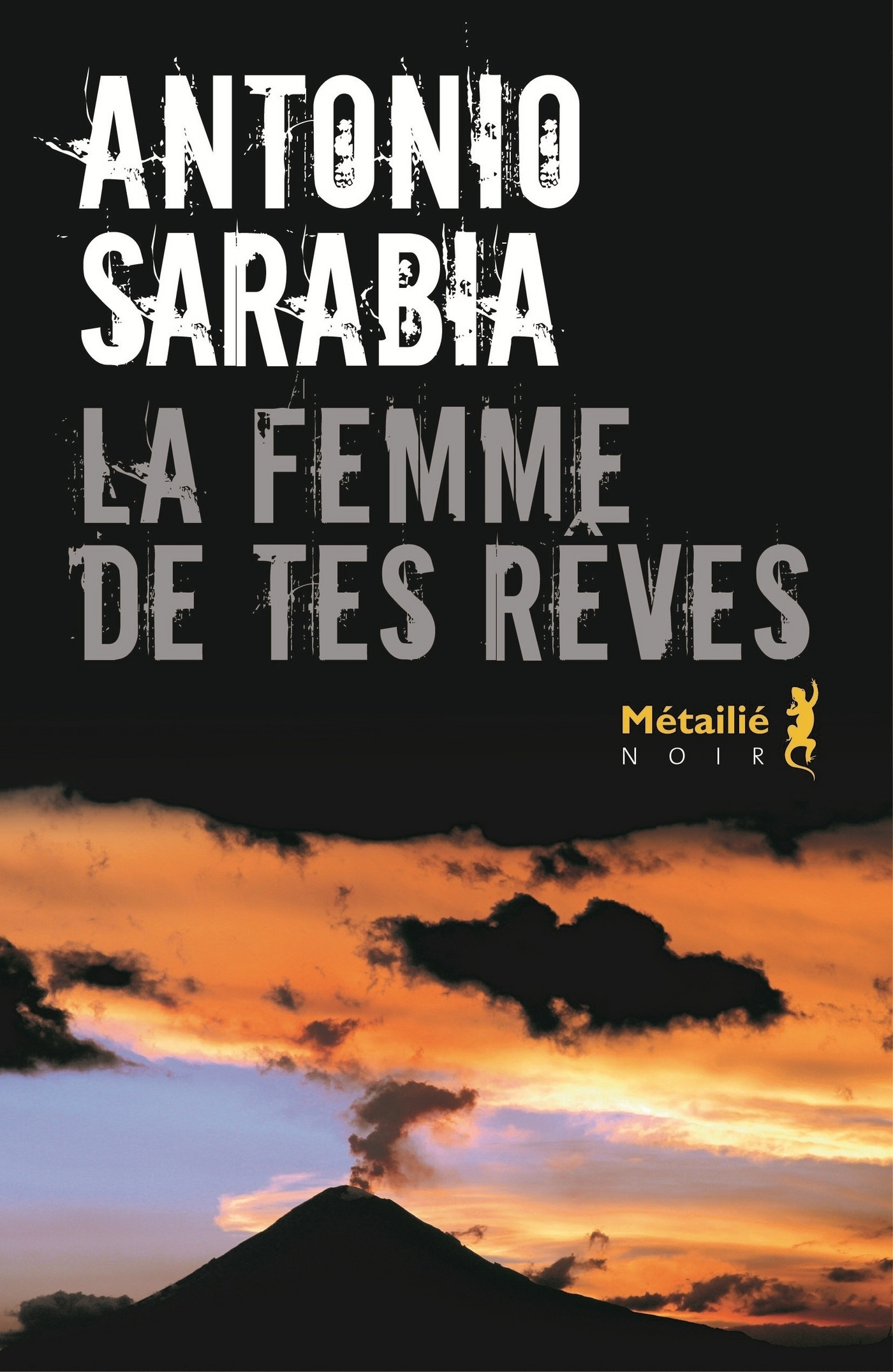 Couverture ebook de La femme de tes rêves, de Antonio Sarabia