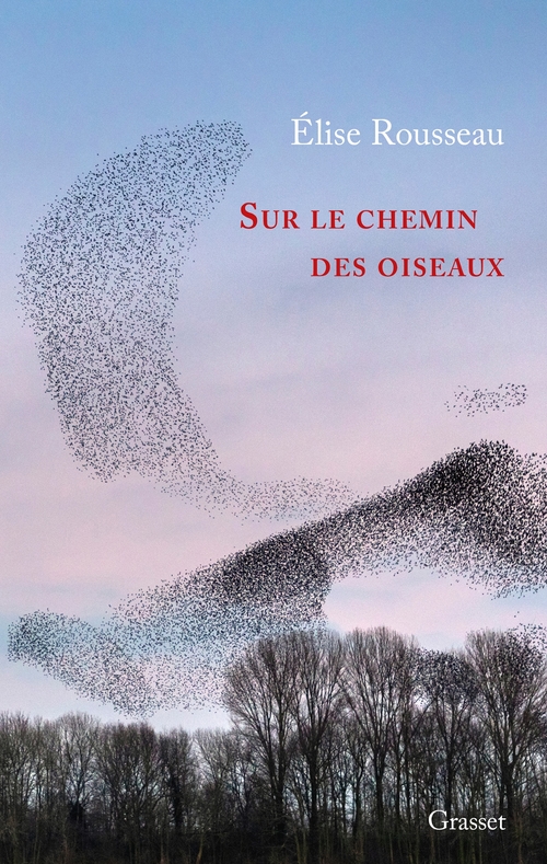 Couverture ebook de Sur le chemin des oiseaux, de Élise Rousseau