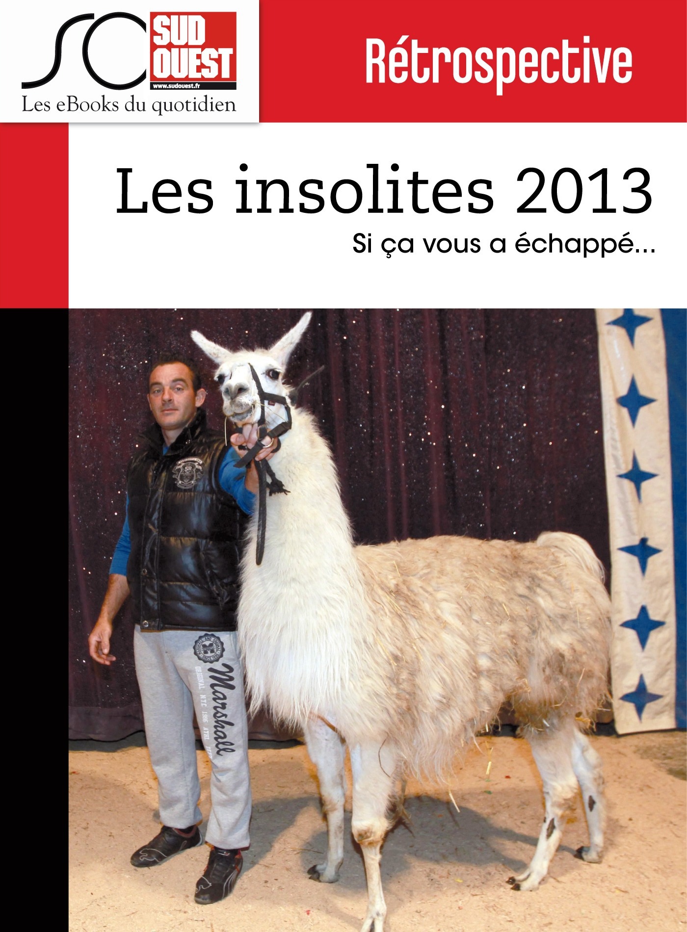 Couverture ebook de Les insolites de l'année 2013, de Collectif