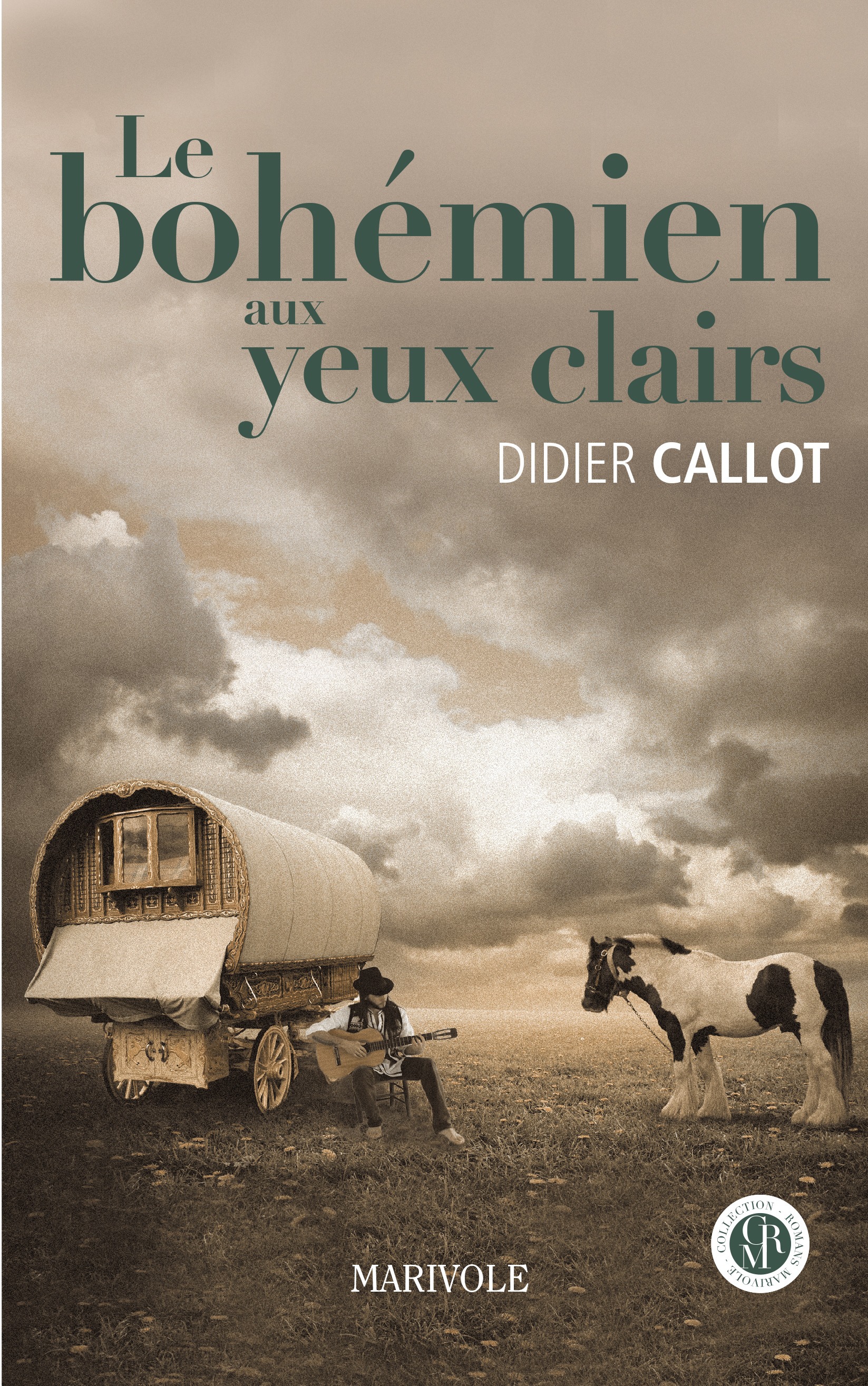 ebook cover of Le Bohémien aux yeux clairs, by Didier Callot