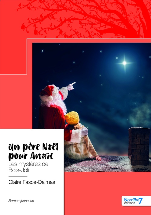ebook cover of Un père Noël pour Anaïs, by Claire Fasce-Dalmas